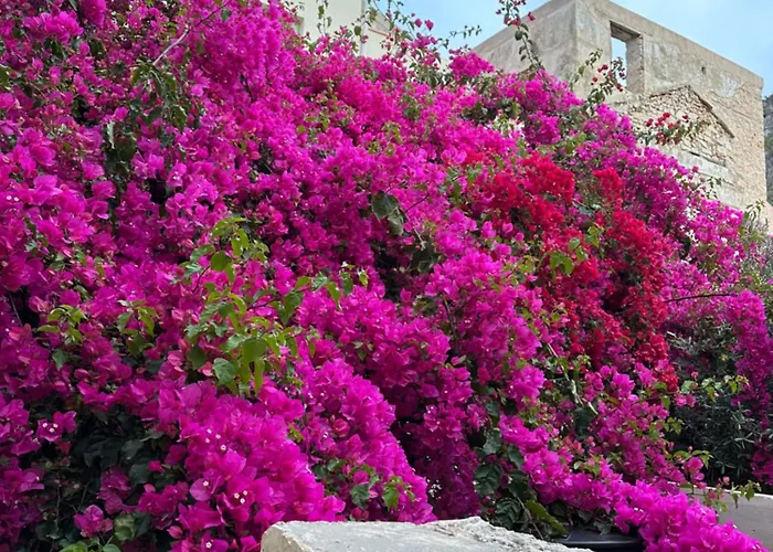 Konukevi Castellorizon 4*