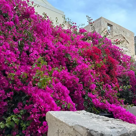 בית הארחה Castellorizon 4*